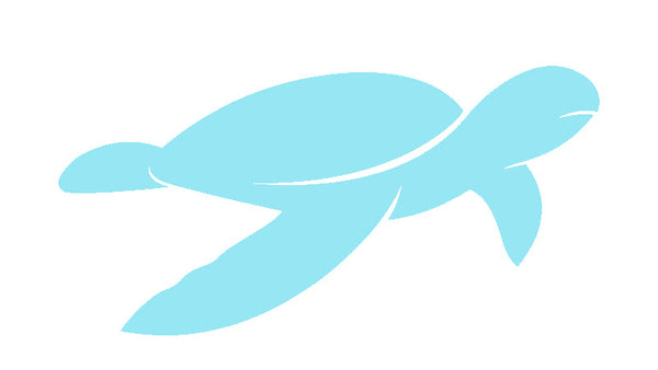 Blue Ocean Project FR