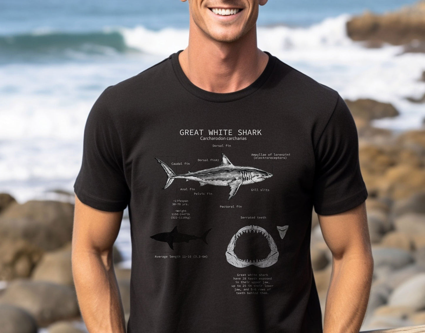 Great White Shark Anatomy Tee