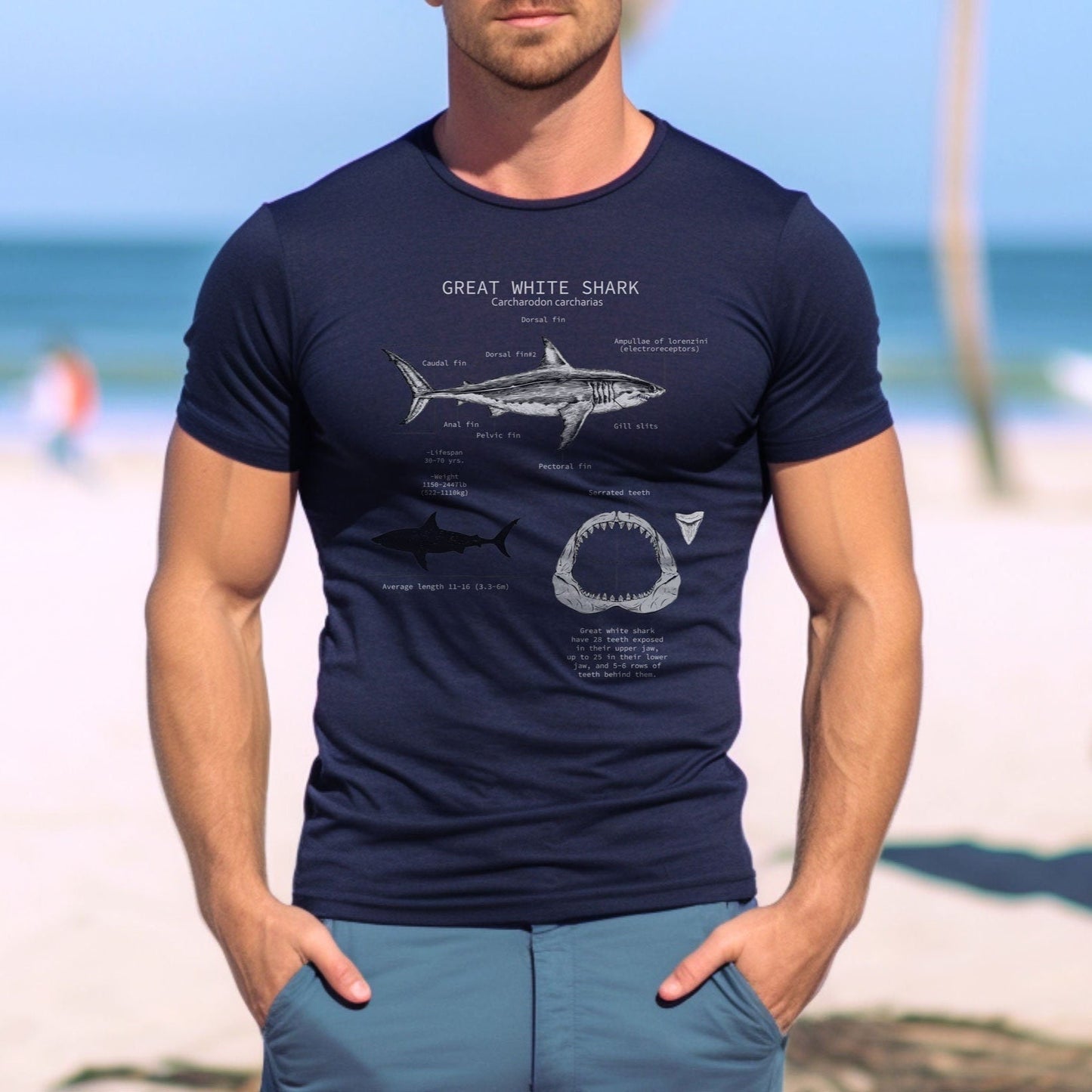 Great White Shark Anatomy Tee